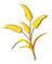 香頤 wheat icon